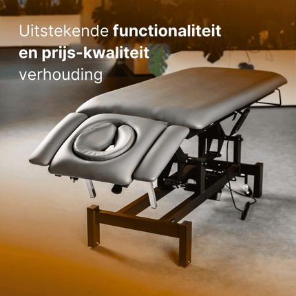 HABYS Elektrische Massagetafel Fortis 4 Grijs